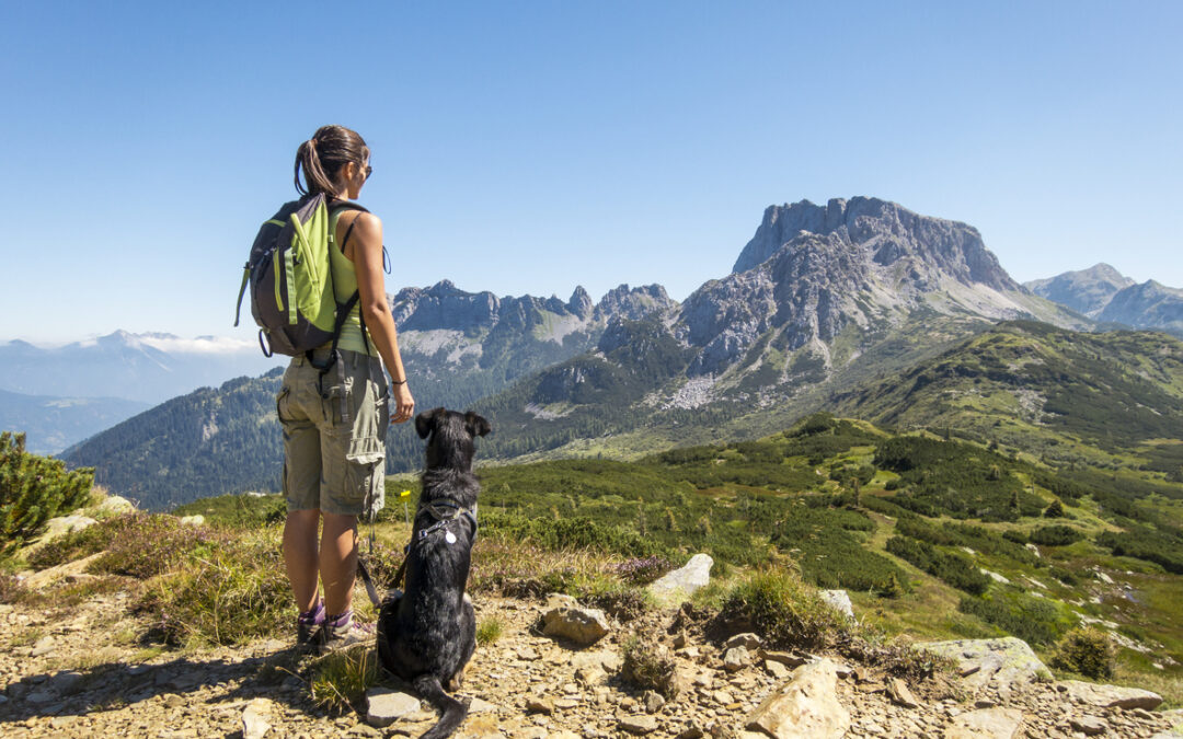 Being Active with Your Pet: Why It Matters