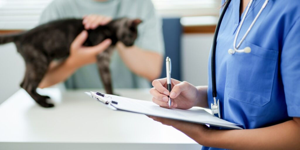 A person holding a pen and writing on a clipboard , Understanding BEAM scores (Behavior, Energy, Appetite, Mood)